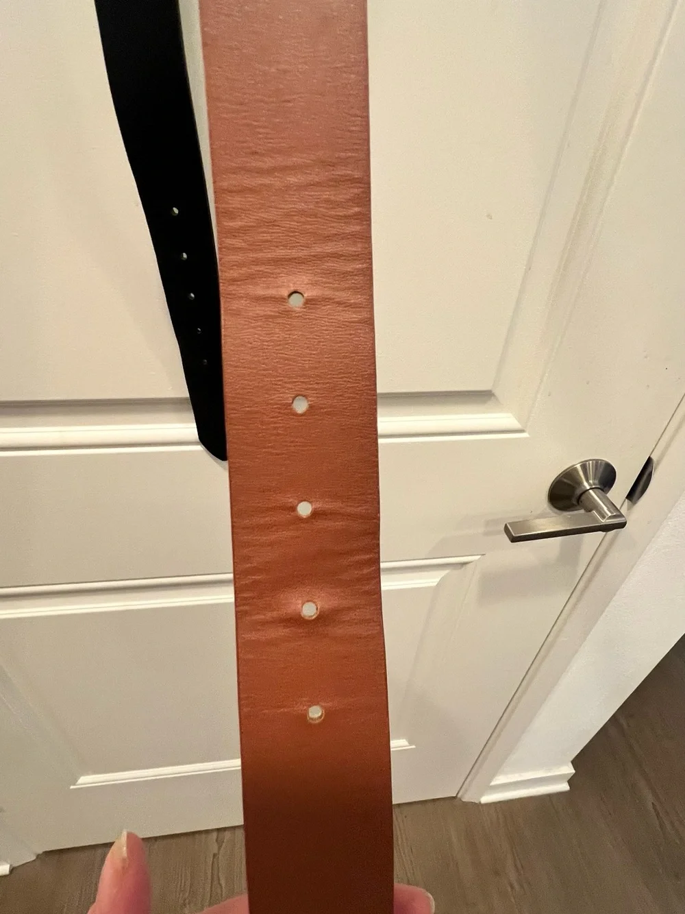 Classic Black and Brown Women's Double-Belt with Gold Rings